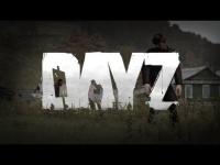 Arma II Day Z играть по сети и интернету Онлайн