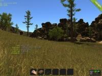 Rust играть по сети и интернету Онлайн